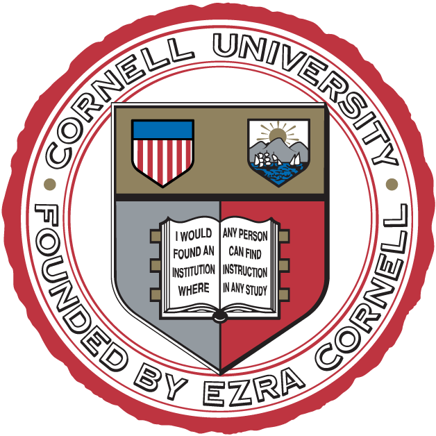 Cornell Big Red 1865-Pres Alternate Logo iron on transfers for fabric